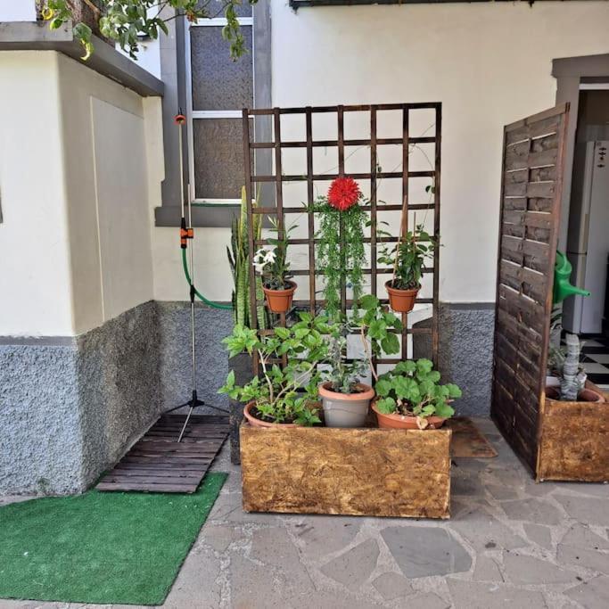 Chale Funchal - City View 外观 照片